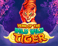 Year Of The Wild Wild Tiger